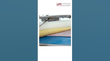 How To Make Swirl Bread With HM-868 Multipurpose Bread Machine