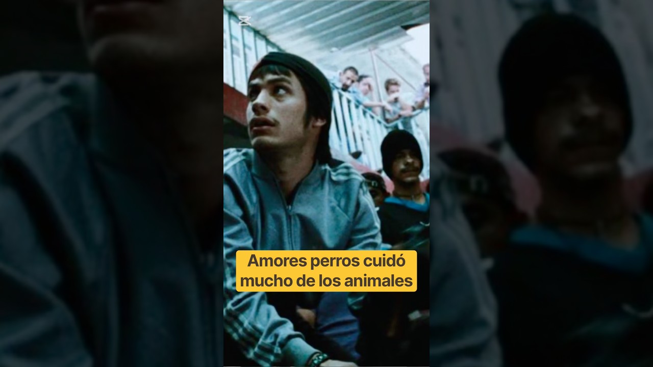 Amores perros cuidó mucho de los animales #shorts