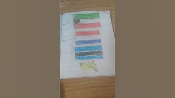 I Drew Countries Flags (part 3)