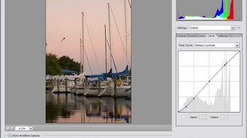 Auto Adding Points to a Camera Raw Curve.mp4