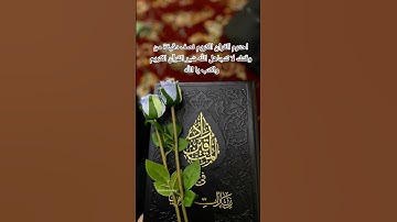 #اكسبلور #سورة #المصحف #لايك #القزابري #تيك_توك #تيك_توك #القزابري #الرحمن #ترند #ترند #الرحمن