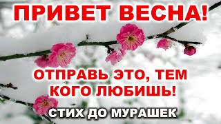 ОЧЕНЬ ТРОГАТЕЛЬНЫЙ СТИХ! С ДОБРЫМ УТРОМ! ДОБРОЕ УТРЕЧКО ХОРОШЕГО ДНЯ!