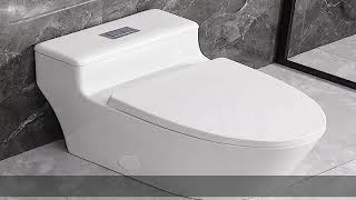 SouNor One Piece Toilet Elongated Bowl With Soft Close Seat Standard Seat Height Top Dual Flush 0.8