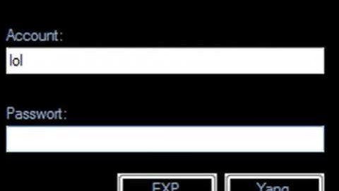 Metin2   Yang und Exp Hacks sind unmöglich