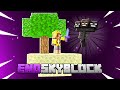 1000000$ BOSS ÖLDÜRME - ENDSKYBLOCK - Minecraft Skyblock Survival #2