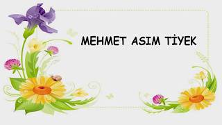 Mehmet Asim Ti̇yek