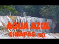 🤽‍♀️CASCADAS DE AGUA AZUL🤽‍♀️ CHIAPAS MEXICO