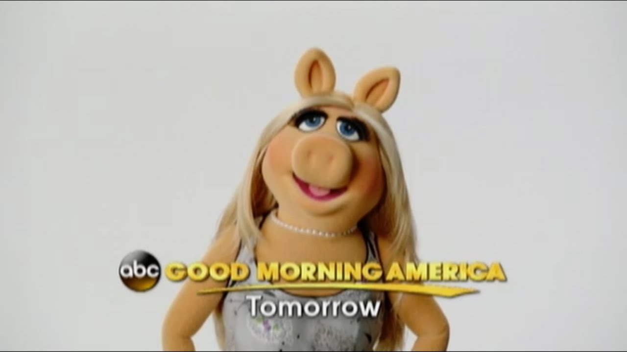 Piggy coupons