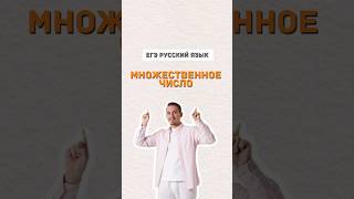 Множественное число существительных | #русскийязык #егэпорусскомуязыку #школа #александрдолгих #егэ