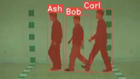 Person instance segmentation and identification using YOLACT and Xception