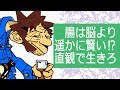 腸は脳よりもはるかに賢い⁉　直観を信じて生きよう！