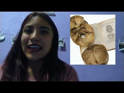 LA ESCUELA POSITIVISTA