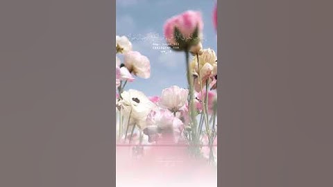 "ولا تمش في الأرض مرحا" سورة الإسراء SURAH AL-ISRA #عبدالولي_الاركاني #abdulwali_alarkani
