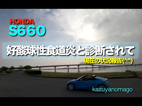 好酸球性食道炎・腸炎と診断されて３ヶ月。現在の状態を報告します(^^)