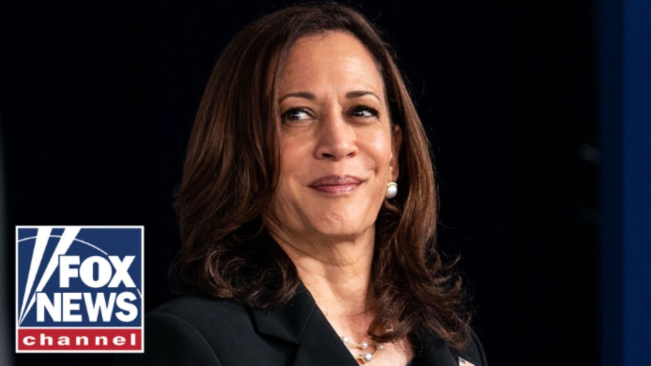 VP Harris blames ‘climate anxiety,’ for young people not having kids, buying homes