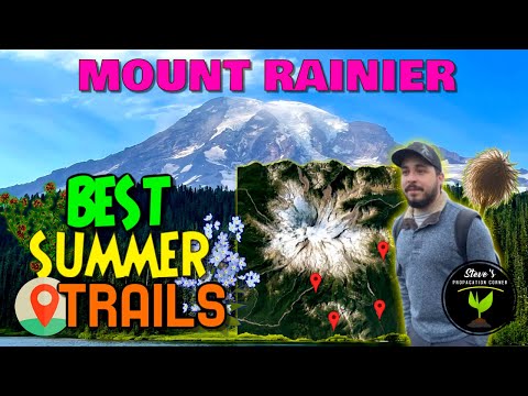 Video: Washington's Mount Rainier National Park: Isang Gabay sa Paglalakbay