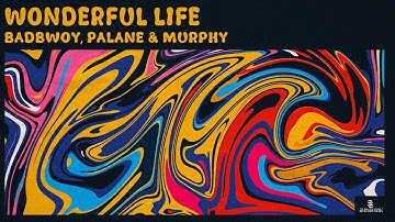 Badbwoy, Palane & Murphy - Wonderful Life (Official Video)