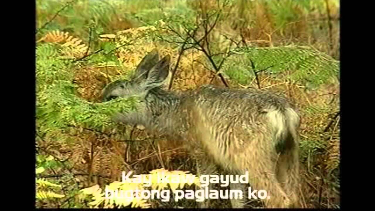 Kasubo - The AsidorS