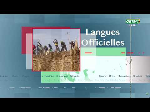 🔴 Direct | Bulletin d'Information en Langues Officielles du 10 octobre 2026