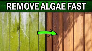 How To Remove Green Algae From Wooden Fences FAST (DIY Home Remedies) by Natural Health Remedies 1,638 views 2 weeks ago 6 minutes, 11 seconds