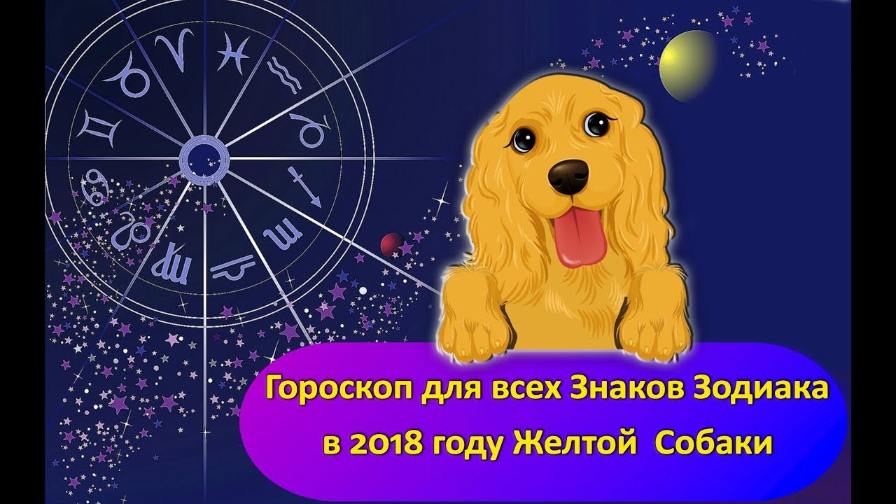 Собаки по знаку зодиака. Год жёлтой собаки 2018. Собака гороскоп. Год собаки в астрологии. Желтая собака по гороскопу.