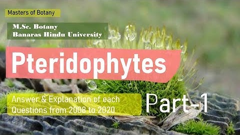 Pteridophytes: Part-1 | BHU M.Sc. Botany Entrance Exam | Answer & Explanation [2008-2020 Questions]