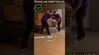 Deluxe Line Cargo  Services In Dubai