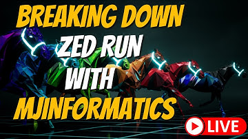 Breaking Down ZED RUN With MJinformatics