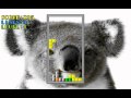 [WildLife Tetris - Игровой процесс]