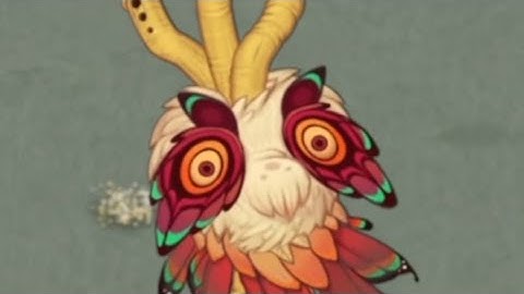 Something’s seriously wrong with my Owlesque…