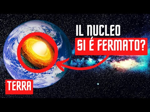 Video: Sicuramente non hai visto questi insetti