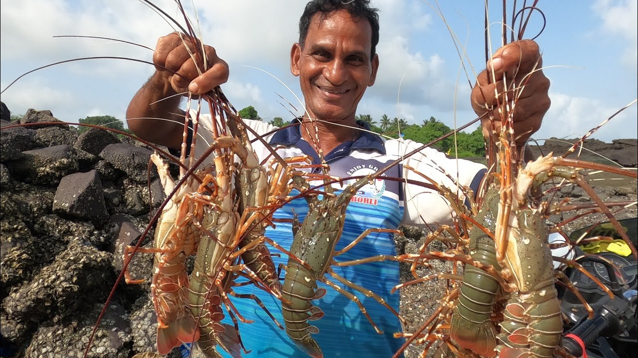 Lobster fishing कोळी लोकांची मेहनत. ( शेऊंड मासेमारी ) YouTube