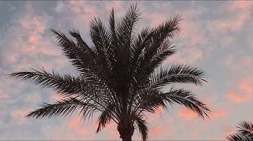 سورة الأسراء القارئ الشيخ عبدالله خياط