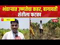 Bhandara | Crop Damage | भंडाऱ्यात उष्णतेचा कहर, बागायती शेतीला फटका