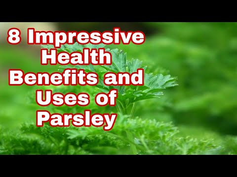 8 Impressive Health Benefits and Uses of Parsley.