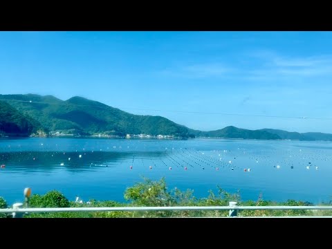 絶景バス路線で駅間をショートカットする旅 | 宇和島自動車 宇和島→宿毛