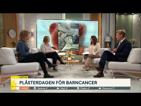 Video: Topp 5 Frågor Från ägare Av Husdjur Med Cancer