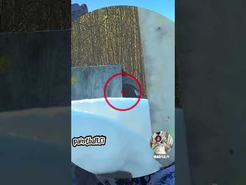 Sideshot - Winter Magfed Paintball #shorts  #magfedpaintball #paintball #magfedfi