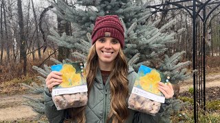 Planting The Last Of The Fall Bulbs: Tulips, Daffodils, Alliums & Bearded Iris! | Simply Bloom