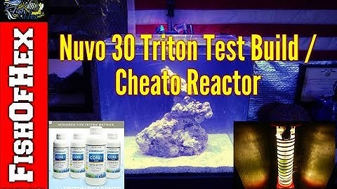 New Nuvo Micro 30 | Cheato Reactor | Triton Test Build
