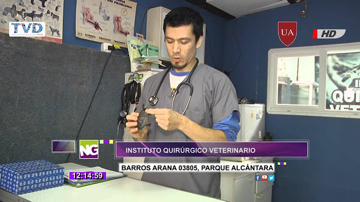 Dr. Hardy #29 - Cirugía Absceso Auricular Tortuga "Orejas Rojas"
