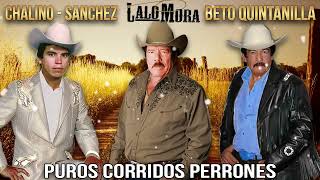 Chalino Sanchez, Lalo Mora, Beto Quintanilla - 30 Exitos- Las Mejores Canciones - Corridos Perronas