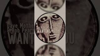 10 tracks – Korg MS2000 #7 | Dave Mothersole & Rob Pearson - Wanting You