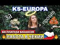 KS-EUROPE Бесплатная виза на два года Чехия / работа в Чехии / склад одежды в Чехии