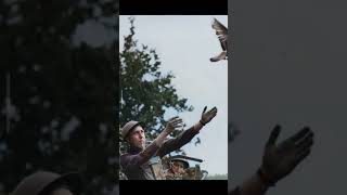 194 Abd Askerinin Hayatını Kurtaran Güvercin