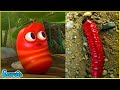 LARVA FULL EPISODE | 1 HOUR COMPILATION | CARTOONS - COMEDY - COMICS | CARTOONS BOX TOP 50 OF 2022