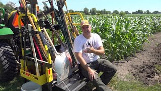 personal discussion, raccoons in sweet corn! gardening time with tim