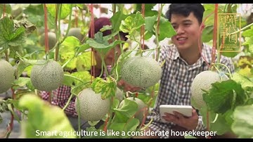 LMCR1562 group1 project1