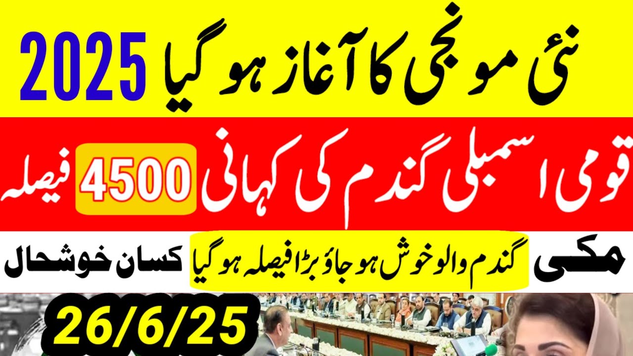 Wheat Support Final Price In Punjab 2025 ll Gundam Rate Today lگندم کا ...
