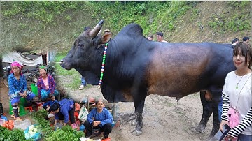 Chợ Phiên Vinh Quang Bảo Lâm Cao Bằng | Miền núi tây bắc